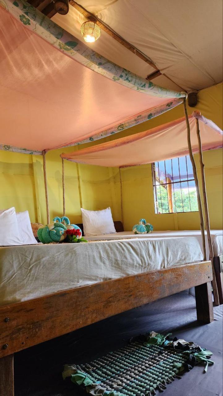 Lodge Kohrong Sea Views *